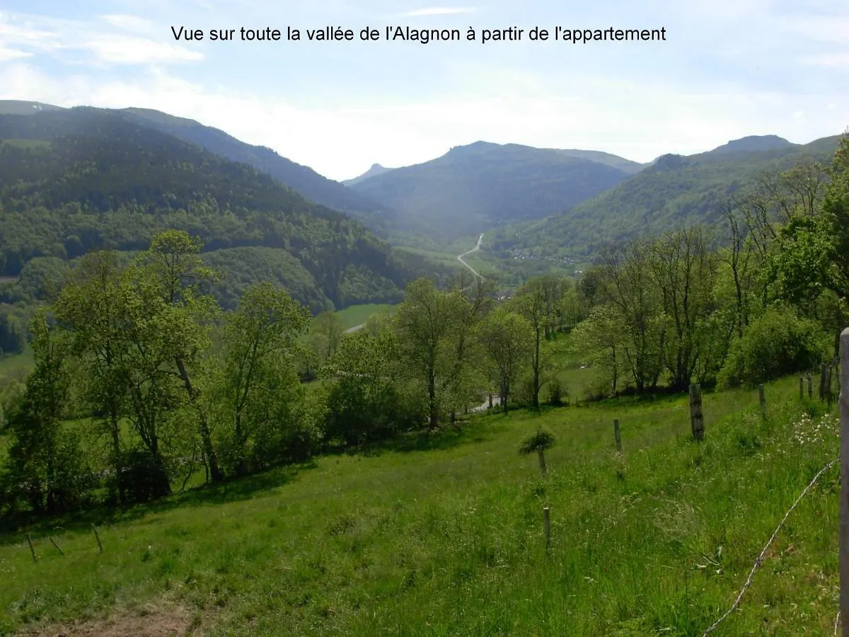 Vacances Au Pied Des Monts Du Cantal Laveissiere 0*,