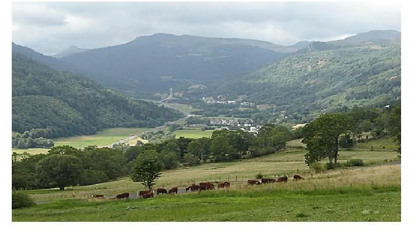 Vacances Au Pied Des Monts Du Cantal Laveissiere
