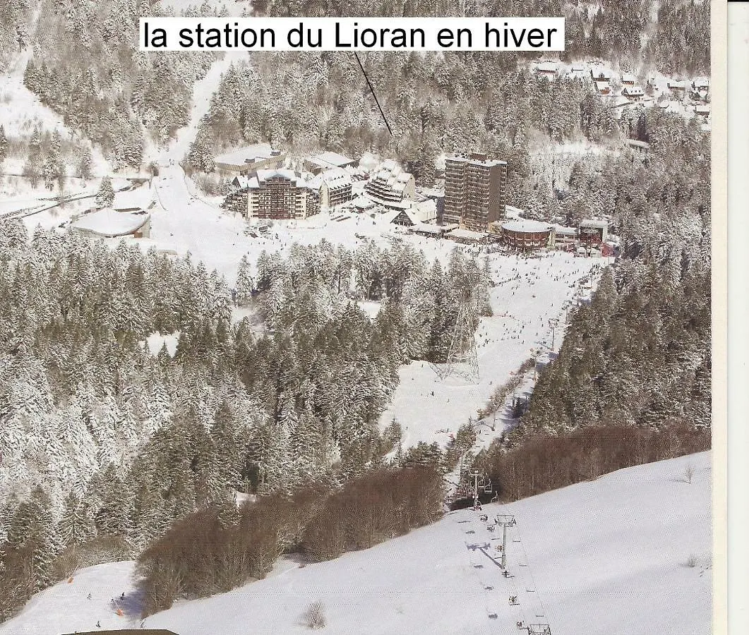 Vacances Au Pied Des Monts Du Cantal Laveissiere Apartment