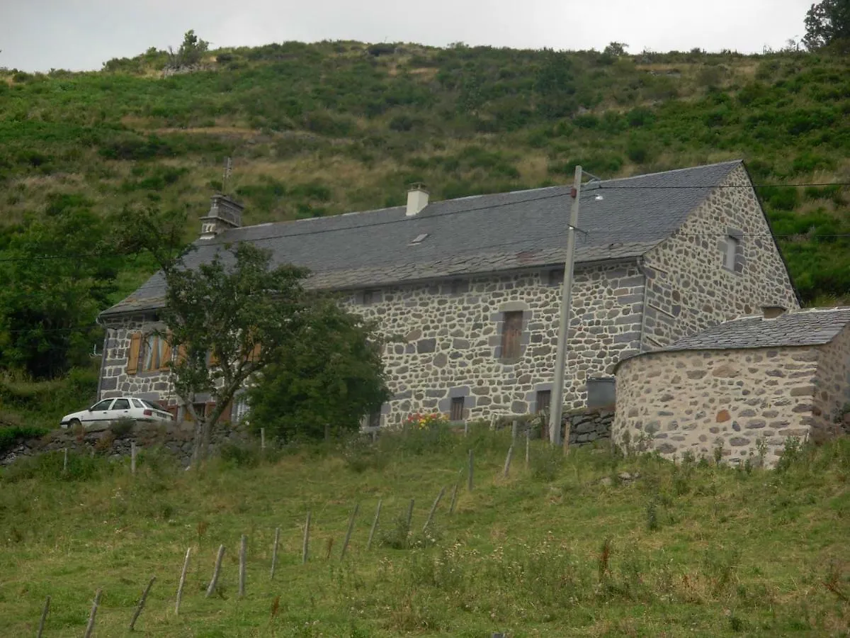 Apartment Vacances Au Pied Des Monts Du Cantal Laveissiere